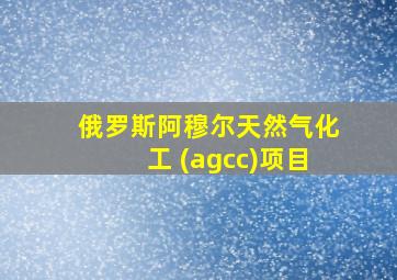 俄罗斯阿穆尔天然气化工 (agcc)项目